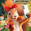 pichenka_korm88