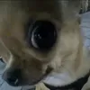 xiomarajazminme