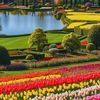 www.tiktok.comsunny375