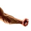 dinogrip1