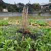 GÁC BÌM BỊP 247