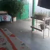 joserobertodossan08
