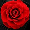 user3750178790724