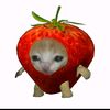 jenny.waltjen
