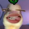 defnotshang9