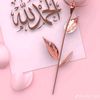 hijabi.muslimah8