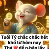 vu.hong056