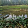 maragiorge.grijin