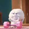 surycutenw