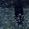 witchy_lu4