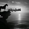 user74654761465524