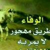 vipvip5472