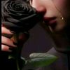 user2866211735030