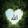 user12715522249282