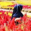 rani.syahrir