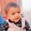 alijutt11461