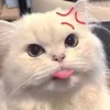 you_uuu69