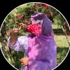 user83311244558158