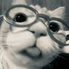 vaaww_9
