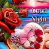 amjad.amjad7121