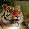 ekateryna_63