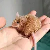 rats.eating.rats
