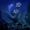 flora_fern