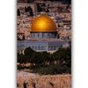 abo.yosef024