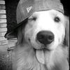awhhbrook.mm2