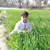 hakeem.ullah8040