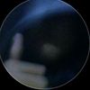cip_prutt