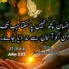 maryam.gill729