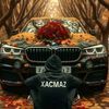 _nabran555_