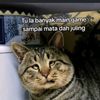 abng.isam.bgkalis