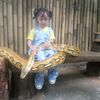 desaayy7