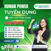 Việc Làm Quảng Yên