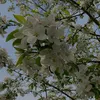 polinka_989889898