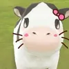 ng0cbao8