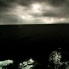 trz_753