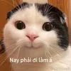 cng.l.ni.m.khng.p