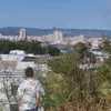 dimitrijevi1j0