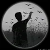 user7412084403011