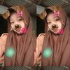 swett__vaa