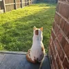 billybosscat