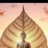binnguyn0838