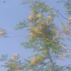 ei_khaing3