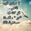 user81044205830055