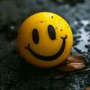 squido_laugh