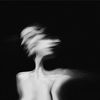 lilies_0212