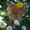 abdul.majan21